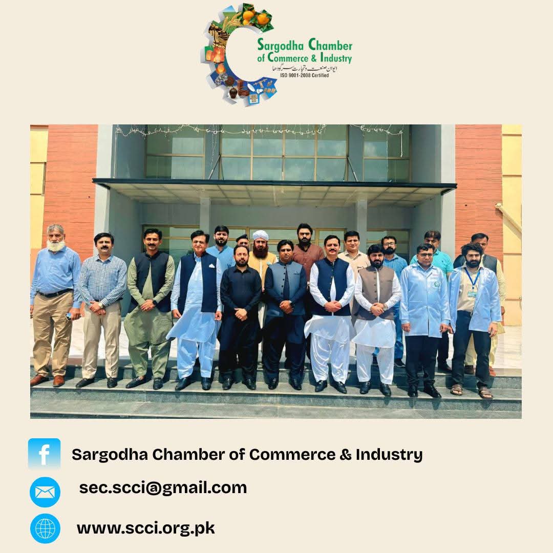 1762241852_WhatsApp Image 2025-11-04 at 12.33.04_7e69d921.jpg